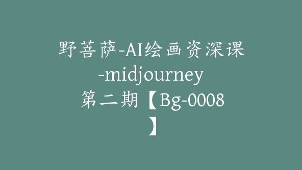 野菩萨-AI绘画资深课-midjourney第二期【Bg-0008】