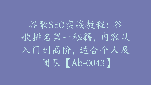 谷歌SEO实战教程：谷歌排名第一秘籍，内容从入门到高阶，适合个人及团队【Ab-0043】