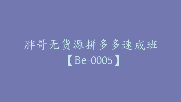 胖哥无货源拼多多速成班【Be-0005】