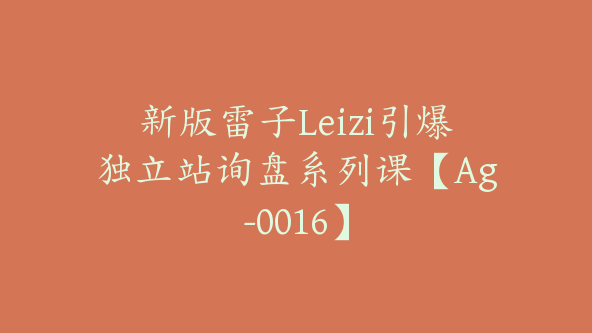 新版雷子Leizi引爆独立站询盘系列课【Ag-0016】