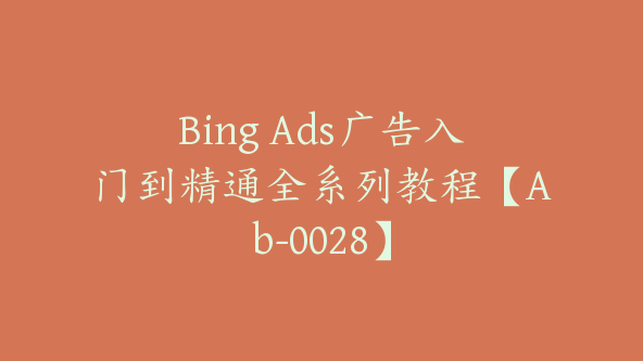 Bing Ads广告入门到精通全系列教程【Ab-0028】