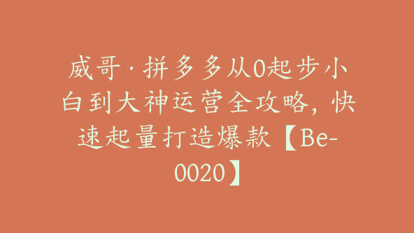 威哥·拼多多从0起步小白到大神运营全攻略，快速起量打造爆款【Be-0020】