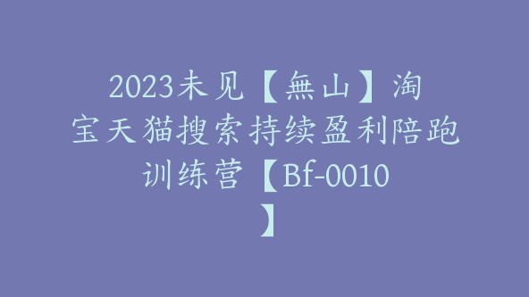 2023未见【無山】淘宝天猫搜索持续盈利陪跑训练营【Bf-0010】