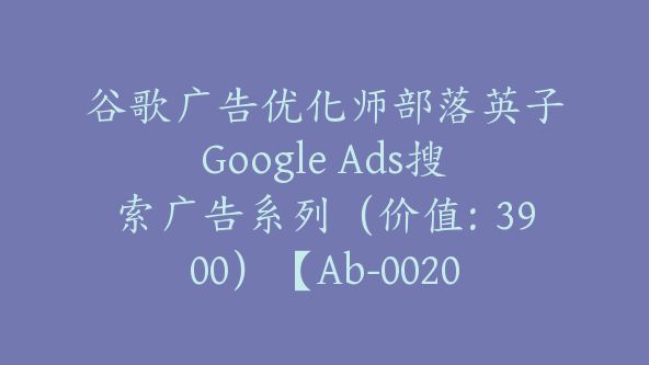 谷歌广告优化师部落英子Google Ads搜索广告系列（价值：3900）【Ab-0020】