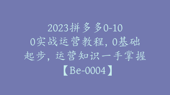 2023拼多多0-100实战运营教程，0基础起步，运营知识一手掌握【Be-0004】