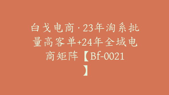 白戈电商·23年淘系批量高客单+24年全域电商矩阵【Bf-0021】