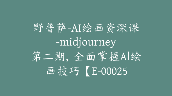 野普萨-AI绘画资深课-midjourney第二期，全面掌握Al绘画技巧【E-00025】