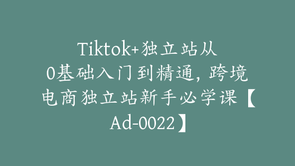 Tiktok+独立站从0基础入门到精通，跨境电商独立站新手必学课【Ad-0022】