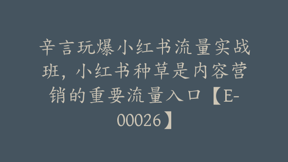 辛言玩爆小红书流量实战班，小红书种草是内容营销的重要流量入口【E-00026】