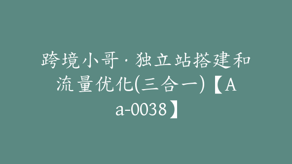 跨境小哥·独立站搭建和流量优化(三合一)【Aa-0038】