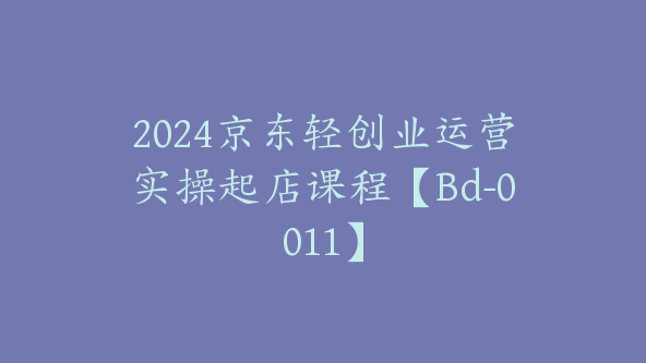 2024京东轻创业运营实操起店课程【Bd-0011】