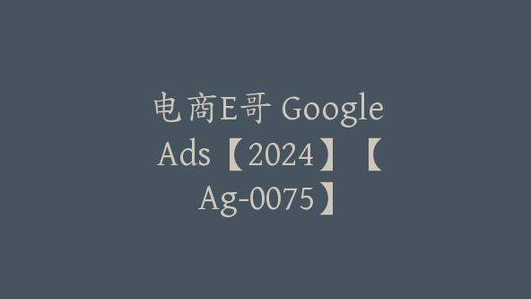 电商E哥 Google Ads【2024】【Ag-0075】