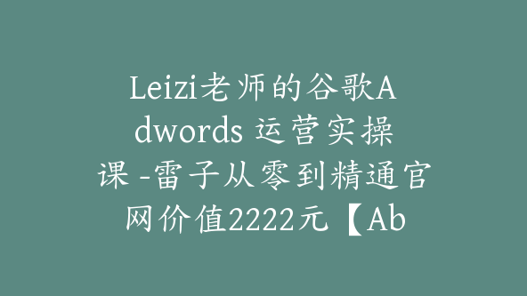 Leizi老师的谷歌Adwords 运营实操课 -雷子从零到精通官网价值2222元【Ab-0010】