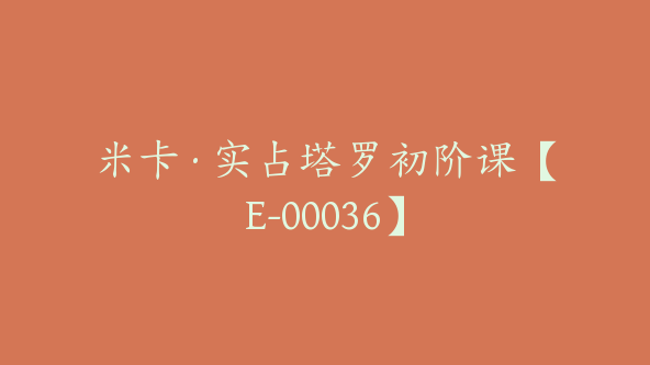 米卡·实占塔罗初阶课【E-00036】