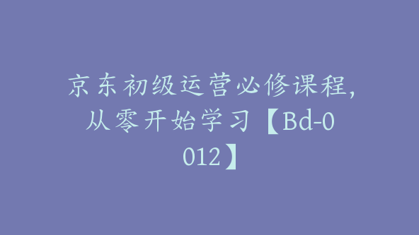 京东初级运营必修课程，从零开始学习【Bd-0012】