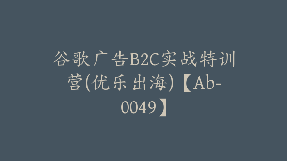 谷歌广告B2C实战特训营(优乐出海)【Ab-0049】