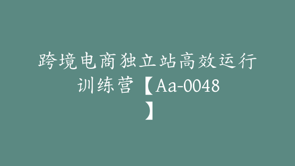 跨境电商独立站高效运行训练营【Aa-0048】