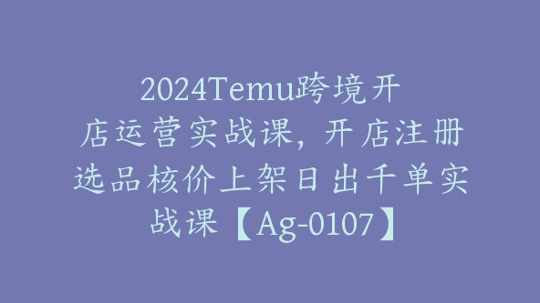 2024Temu跨境开店运营实战课，开店注册选品核价上架日出千单实战课【Ag-0107】