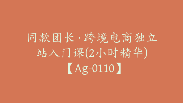 同款团长·跨境电商独立站入门课(2小时精华)【Ag-0110】