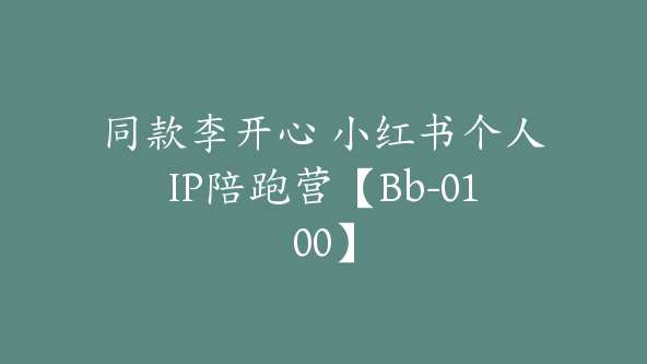 同款李开心 小红书个人IP陪跑营【Bb-0100】