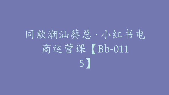 同款潮汕蔡总·小红书电商运营课【Bb-0115】