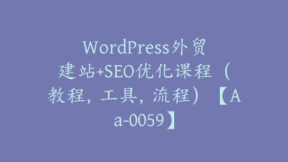 WordPress外贸建站+SEO优化课程（教程，工具，流程）【Aa-0059】